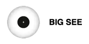 Big See Logo